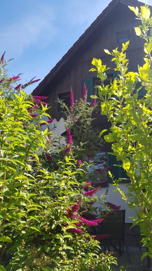 Chill&Sleep Bad Ischl Apartment Exterior photo