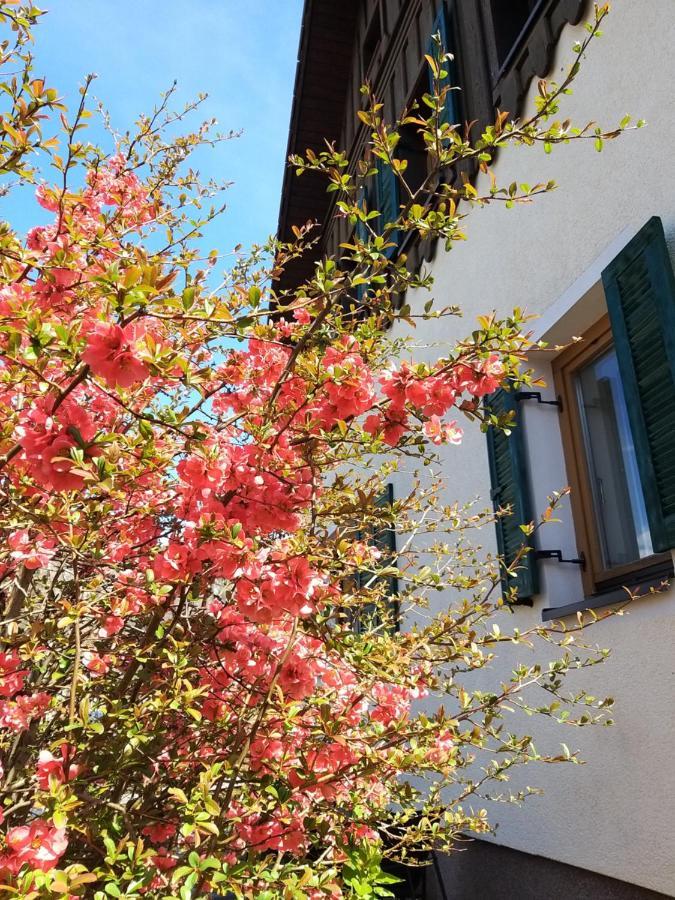 Chill&Sleep Bad Ischl Apartment Exterior photo